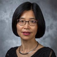 Joy F King, MD, PhD - Healthcare Provider